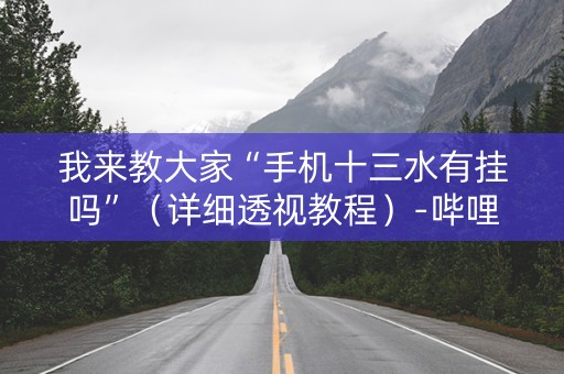 我来教大家“手机十三水有挂吗”（详细透视教程）-哔哩哔哩