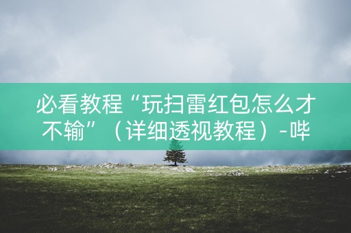 必看教程“玩扫雷红包怎么才不输”（详细透视教程）-哔哩哔哩
