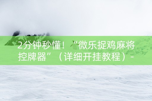 2分钟秒懂！“微乐捉鸡麻将控牌器”（详细开挂教程）-哔哩哔哩