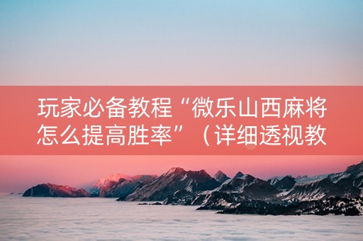 玩家必备教程“微乐山西麻将怎么提高胜率”（详细透视教程）-哔哩哔哩