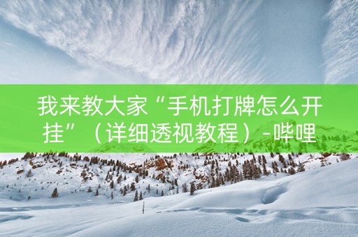 我来教大家“手机打牌怎么开挂”（详细透视教程）-哔哩哔哩