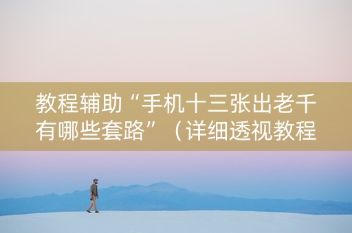 教程辅助“手机十三张出老千有哪些套路”（详细透视教程）-哔哩哔哩