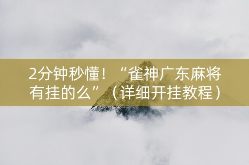 2分钟秒懂！“雀神广东麻将有挂的么”（详细开挂教程）-哔哩哔哩