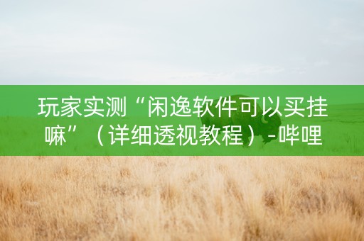玩家实测“闲逸软件可以买挂嘛”（详细透视教程）-哔哩哔哩