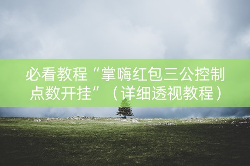 必看教程“掌嗨红包三公控制点数开挂”（详细透视教程）-哔哩哔哩