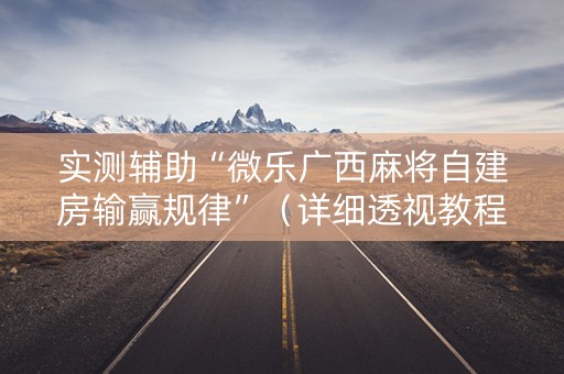 实测辅助“微乐广西麻将自建房输赢规律”（详细透视教程）-哔哩哔哩