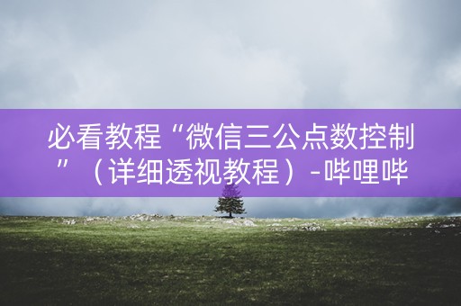 必看教程“微信三公点数控制”（详细透视教程）-哔哩哔哩