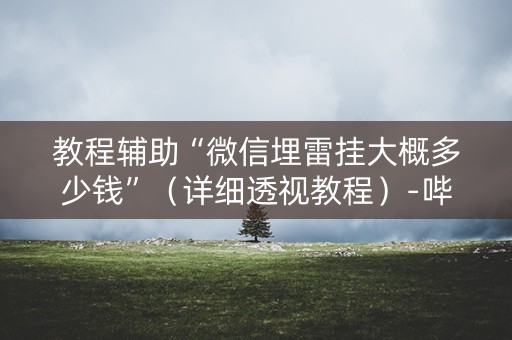 教程辅助“微信埋雷挂大概多少钱”（详细透视教程）-哔哩哔哩