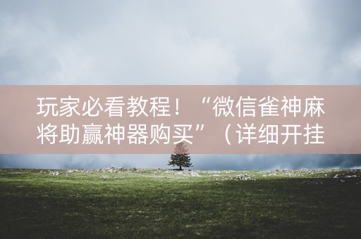 玩家必看教程！“微信雀神麻将助赢神器购买”（详细开挂教程）-哔哩哔哩