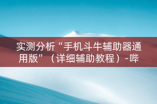 实测分析“手机斗牛辅助器通用版”（详细辅助教程）-哔哩哔哩