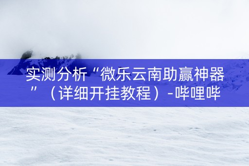 实测分析“微乐云南助赢神器”（详细开挂教程）-哔哩哔哩