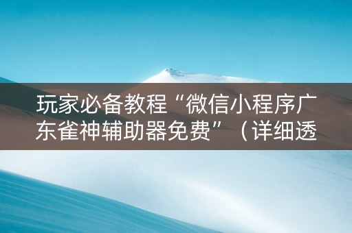 玩家必备教程“微信小程序广东雀神辅助器免费”（详细透视教程）-哔哩哔哩