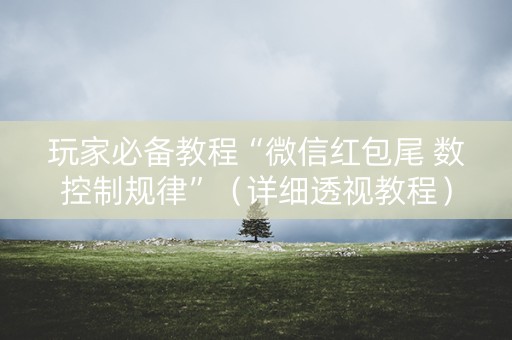 玩家必备教程“微信红包尾 数控制规律”（详细透视教程）-哔哩哔哩