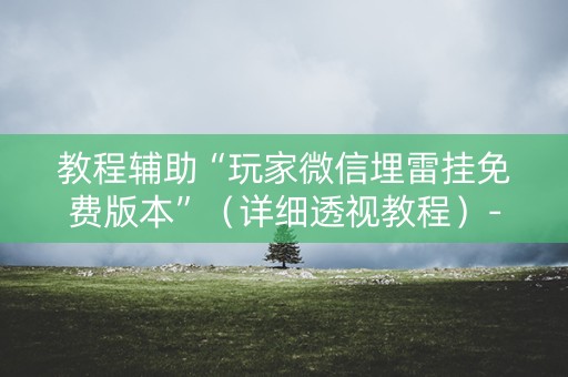 教程辅助“玩家微信埋雷挂免费版本”（详细透视教程）-哔哩哔哩