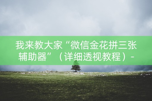 我来教大家“微信金花拼三张辅助器”（详细透视教程）-哔哩哔哩