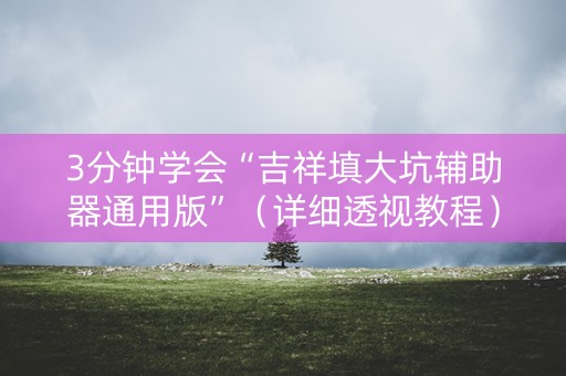 3分钟学会“吉祥填大坑辅助器通用版”（详细透视教程）-哔哩哔哩