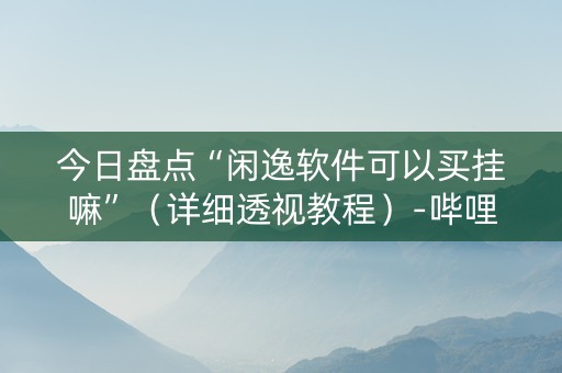 今日盘点“闲逸软件可以买挂嘛”（详细透视教程）-哔哩哔哩
