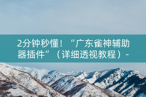 2分钟秒懂！“广东雀神辅助器插件”（详细透视教程）-哔哩哔哩