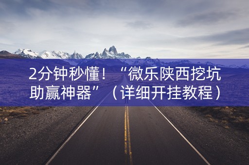 2分钟秒懂！“微乐陕西挖坑助赢神器”（详细开挂教程）-哔哩哔哩