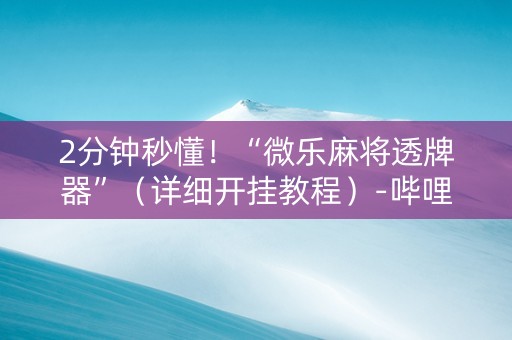 2分钟秒懂！“微乐麻将透牌器”（详细开挂教程）-哔哩哔哩
