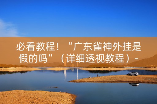 必看教程！“广东雀神外挂是假的吗”（详细透视教程）-哔哩哔哩