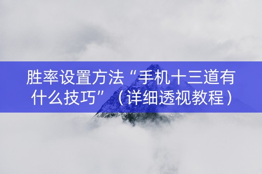 胜率设置方法“手机十三道有什么技巧”（详细透视教程）-哔哩哔哩