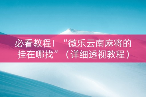 必看教程！“微乐云南麻将的挂在哪找”（详细透视教程）-哔哩哔哩