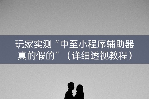 玩家实测“中至小程序辅助器真的假的”（详细透视教程）-哔哩哔哩