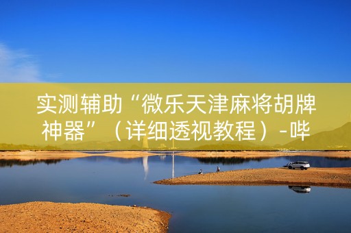 实测辅助“微乐天津麻将胡牌神器”（详细透视教程）-哔哩哔哩