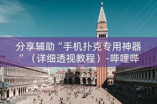 分享辅助“手机扑克专用神器”（详细透视教程）-哔哩哔哩