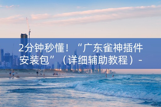 2分钟秒懂！“广东雀神插件安装包”（详细辅助教程）-哔哩哔哩