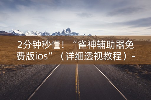 2分钟秒懂！“雀神辅助器免费版ios”（详细透视教程）-哔哩哔哩