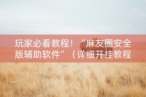 玩家必看教程！“麻友圈安全版辅助软件”（详细开挂教程）-哔哩哔哩