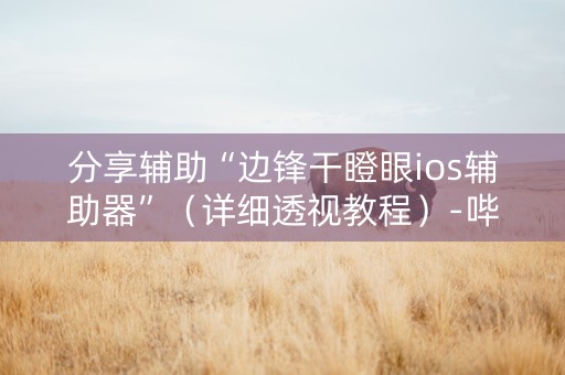 分享辅助“边锋干瞪眼ios辅助器”（详细透视教程）-哔哩哔哩