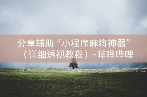 分享辅助“小程序麻将神器”（详细透视教程）-哔哩哔哩