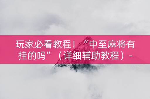 玩家必看教程！“中至麻将有挂的吗”（详细辅助教程）-哔哩哔哩