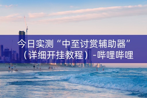 今日实测“中至讨赏辅助器”（详细开挂教程）-哔哩哔哩