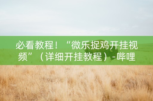 必看教程！“微乐捉鸡开挂视频”（详细开挂教程）-哔哩哔哩