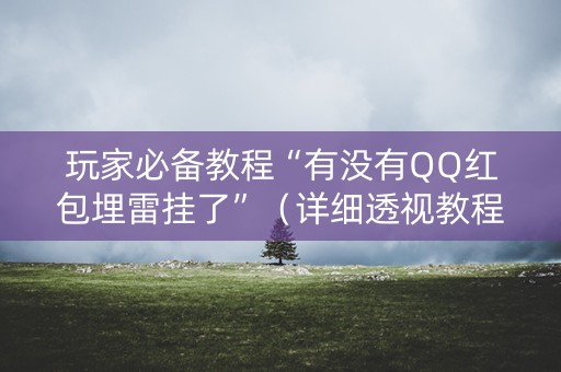 玩家必备教程“有没有QQ红包埋雷挂了”（详细透视教程）-哔哩哔哩