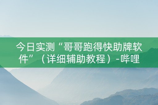今日实测“哥哥跑得快助牌软件”（详细辅助教程）-哔哩哔哩