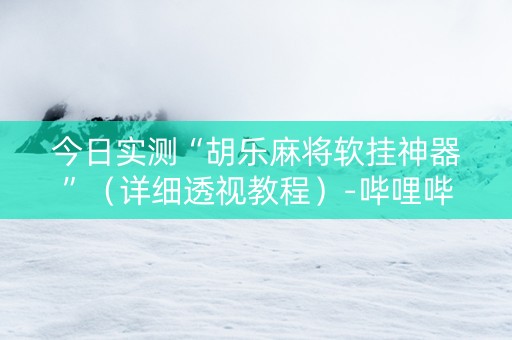 今日实测“胡乐麻将软挂神器”（详细透视教程）-哔哩哔哩
