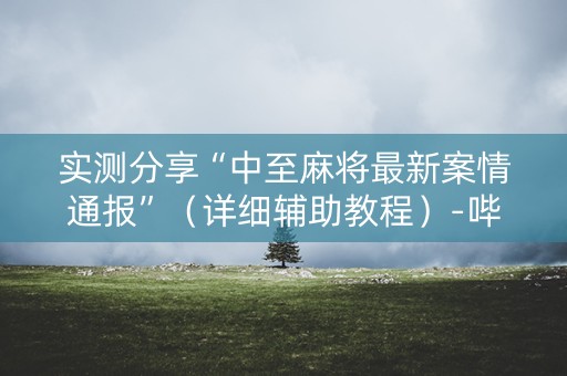 实测分享“中至麻将最新案情通报”（详细辅助教程）-哔哩哔哩