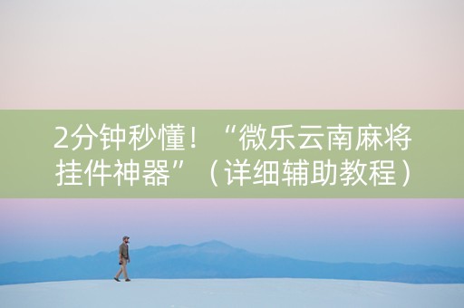2分钟秒懂！“微乐云南麻将挂件神器”（详细辅助教程）-哔哩哔哩