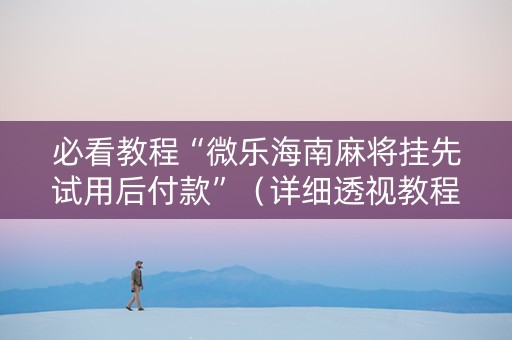 必看教程“微乐海南麻将挂先试用后付款”（详细透视教程）-哔哩哔哩