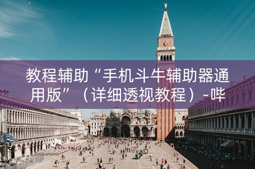 教程辅助“手机斗牛辅助器通用版”（详细透视教程）-哔哩哔哩
