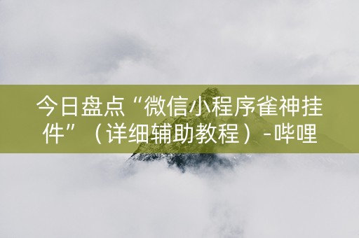 今日盘点“微信小程序雀神挂件”（详细辅助教程）-哔哩哔哩
