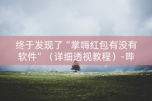 终于发现了“掌嗨红包有没有软件”（详细透视教程）-哔哩哔哩