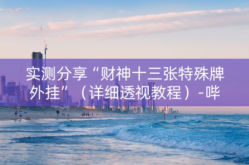 实测分享“财神十三张特殊牌外挂”（详细透视教程）-哔哩哔哩