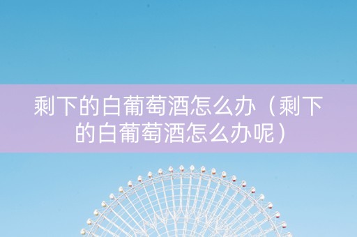 剩下的白葡萄酒怎么办（剩下的白葡萄酒怎么办呢）