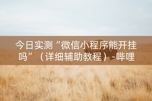 今日实测“微信小程序能开挂吗”（详细辅助教程）-哔哩哔哩